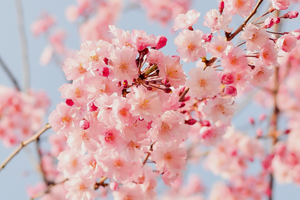 Eco-Friendly Spring Cleaning Tips & Tricks