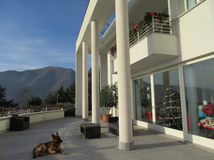 HOLIDAY DESIGN PILGRIMAGE: COMO, ITALY AND ARCATA, CALIFORNIA