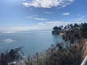 Embrace Gratitude with Nature: Nature Walks and Reflection Rituals this Thanksgiving
