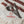 Load image into Gallery viewer, Albatross Take Back Ware