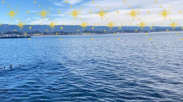 New Year’s Lessons from the Ocean