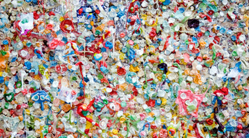 Environmental Implications of Plastic Razors 