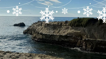 The Joy of Gifting: Intentional & Waste-Free Ways to Celebrate the Season