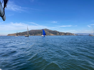 A Sailing Race, a Whale and a Special Reminder