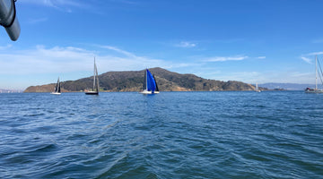 A Sailing Race, a Whale and a Special Reminder